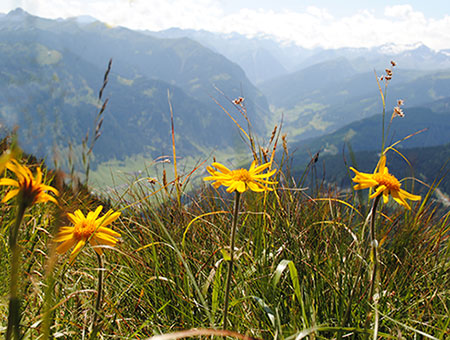 Andrea Seer erzählt Märchen in der Natur